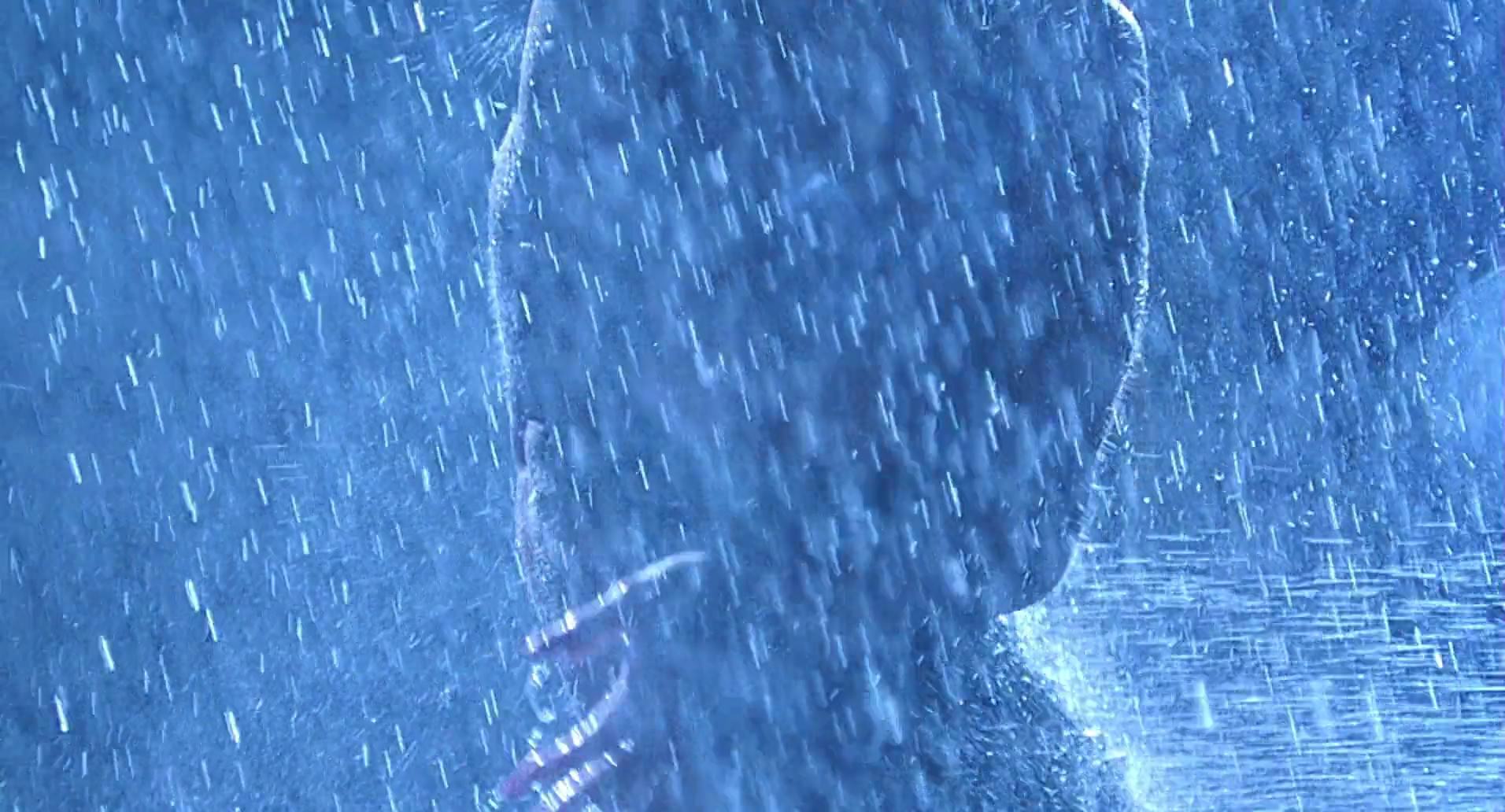 Barb Wire (1996) movie still 208