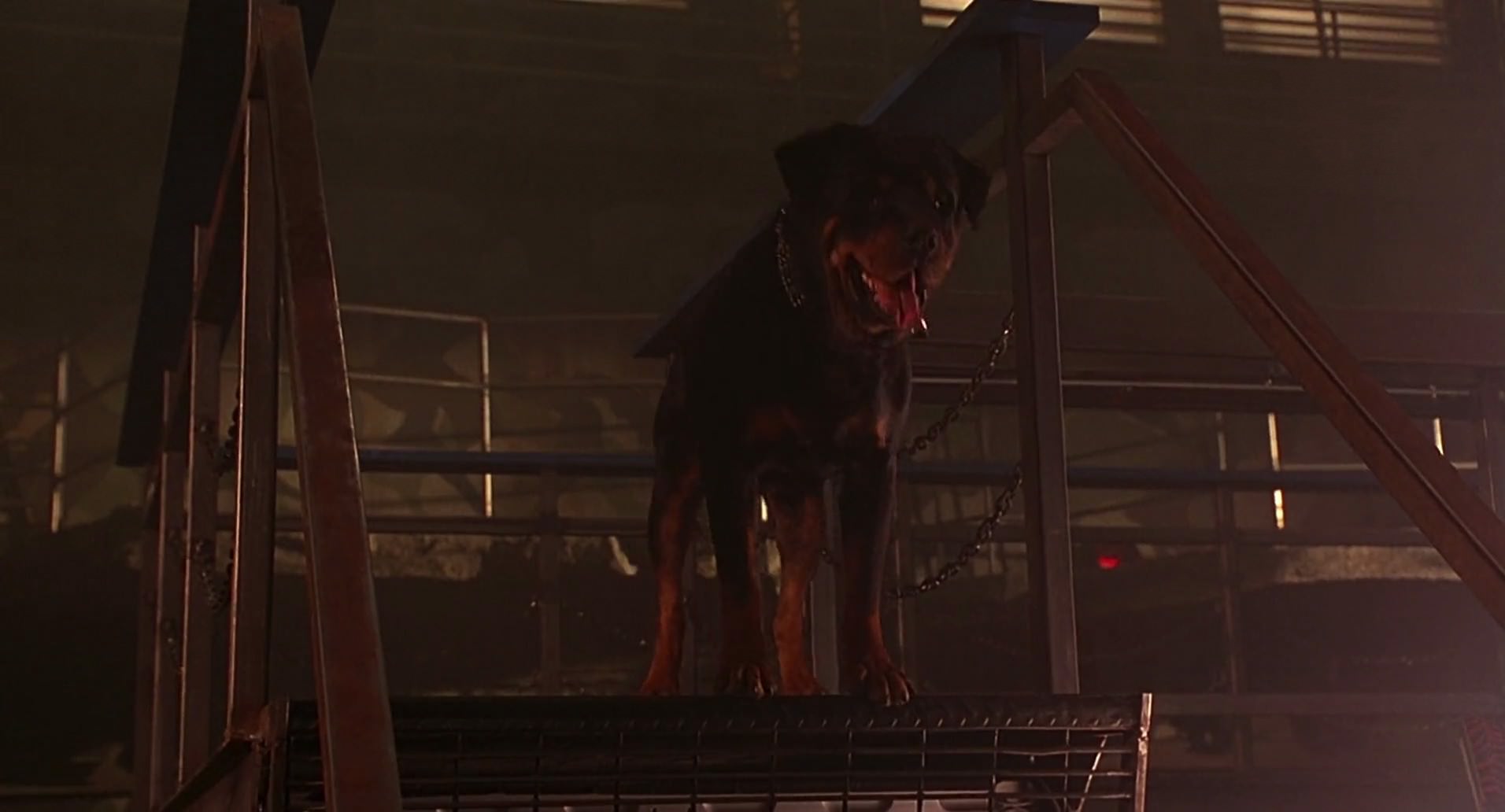 Barb Wire (1996) screencap 4029