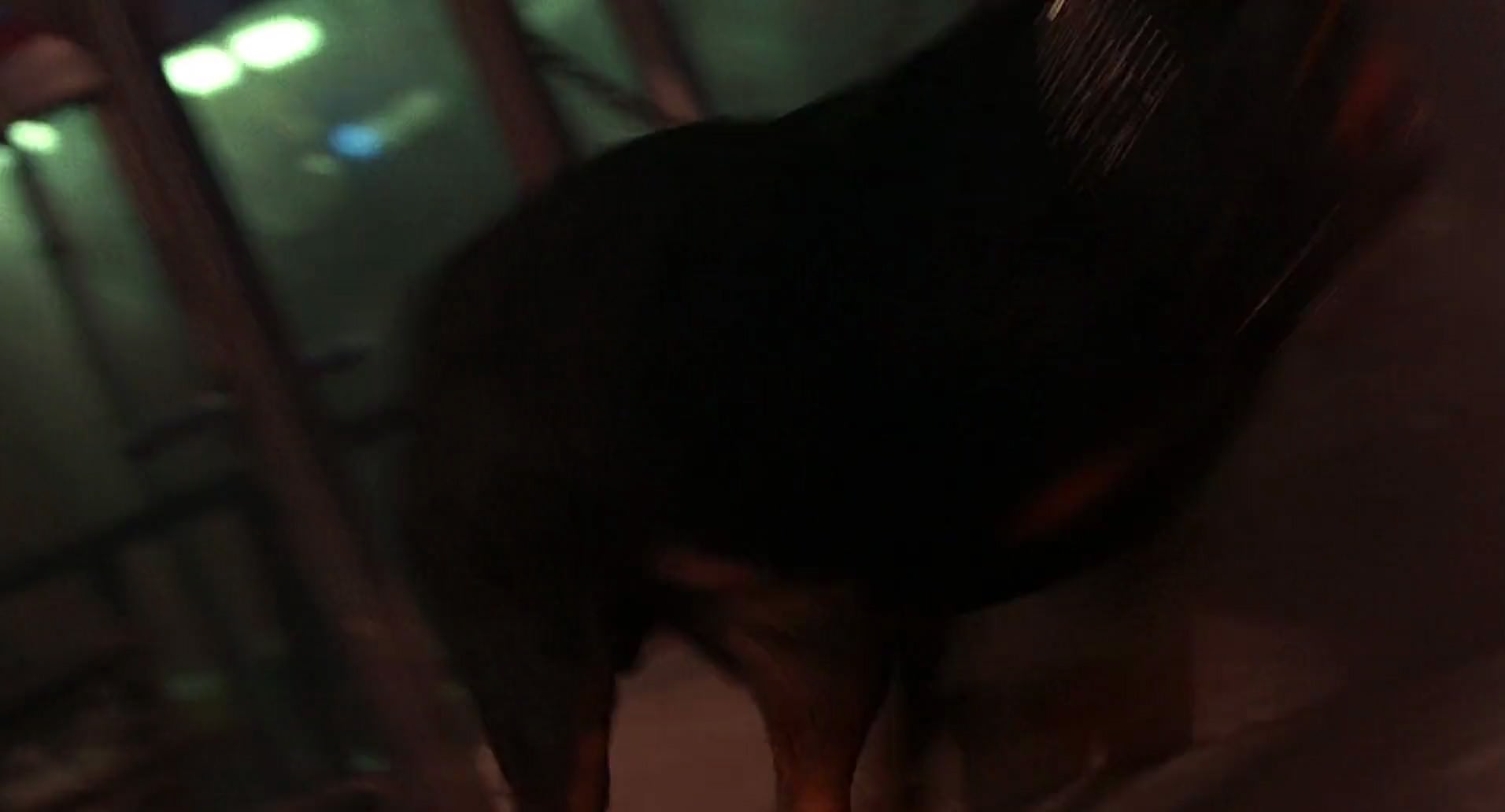 Barb Wire (1996) movie still 4045