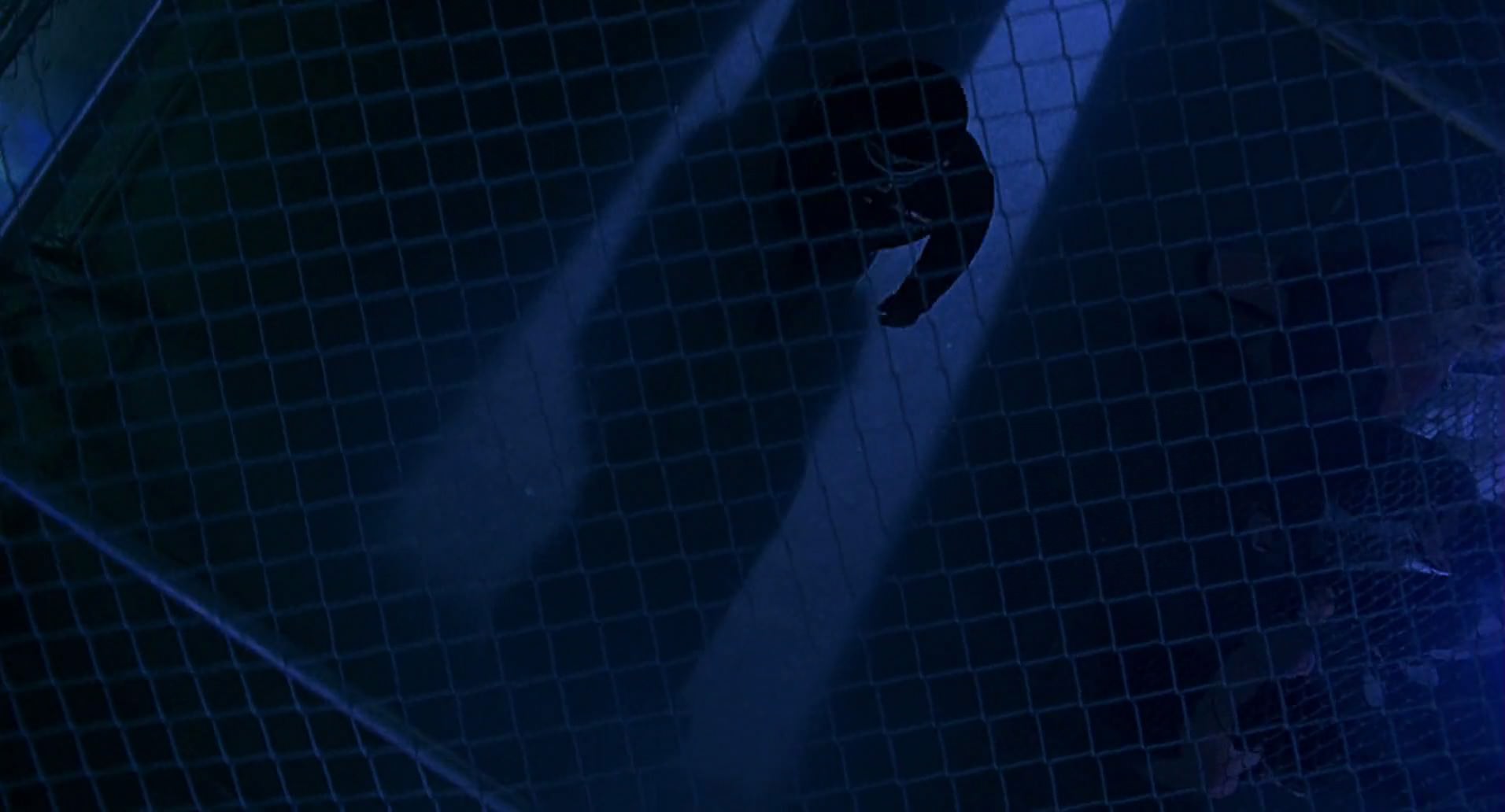 Barb Wire (1996) screencap 4224