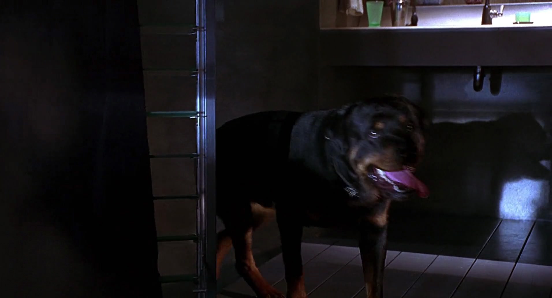 Barb Wire (1996) screencap 6663