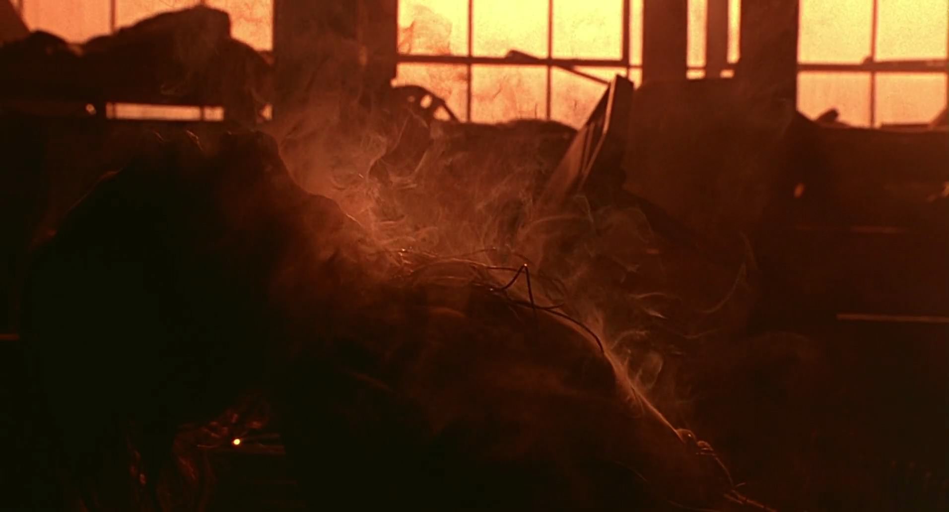 Barb Wire (1996) screencap 8367
