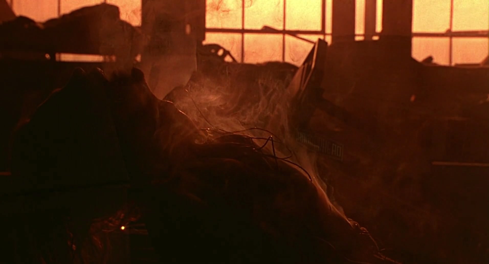Barb Wire (1996) HD screenshot 8369