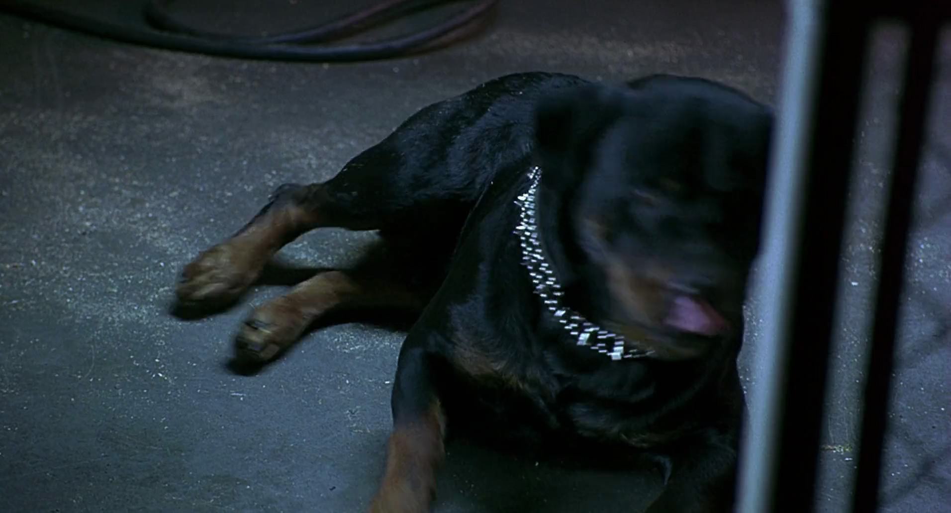Barb Wire (1996) screencap 8532