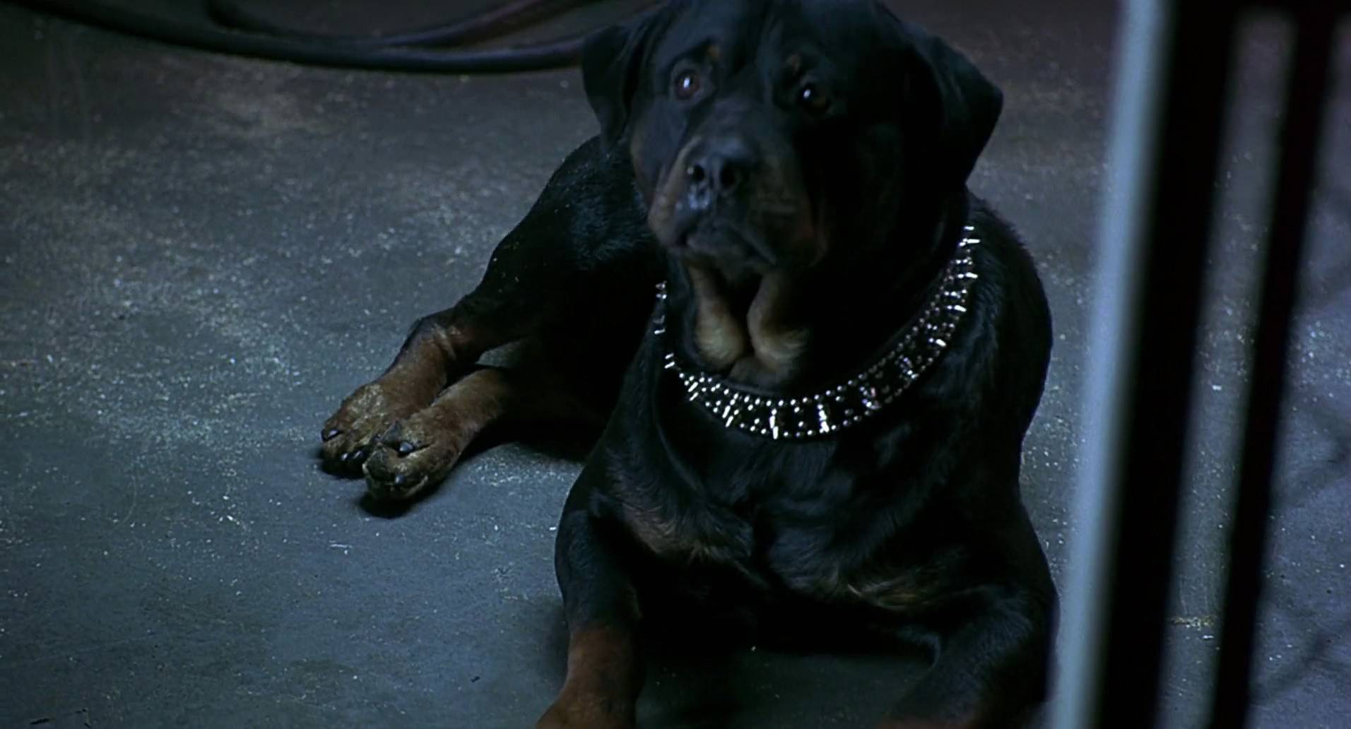 Barb Wire (1996) movie still 8533