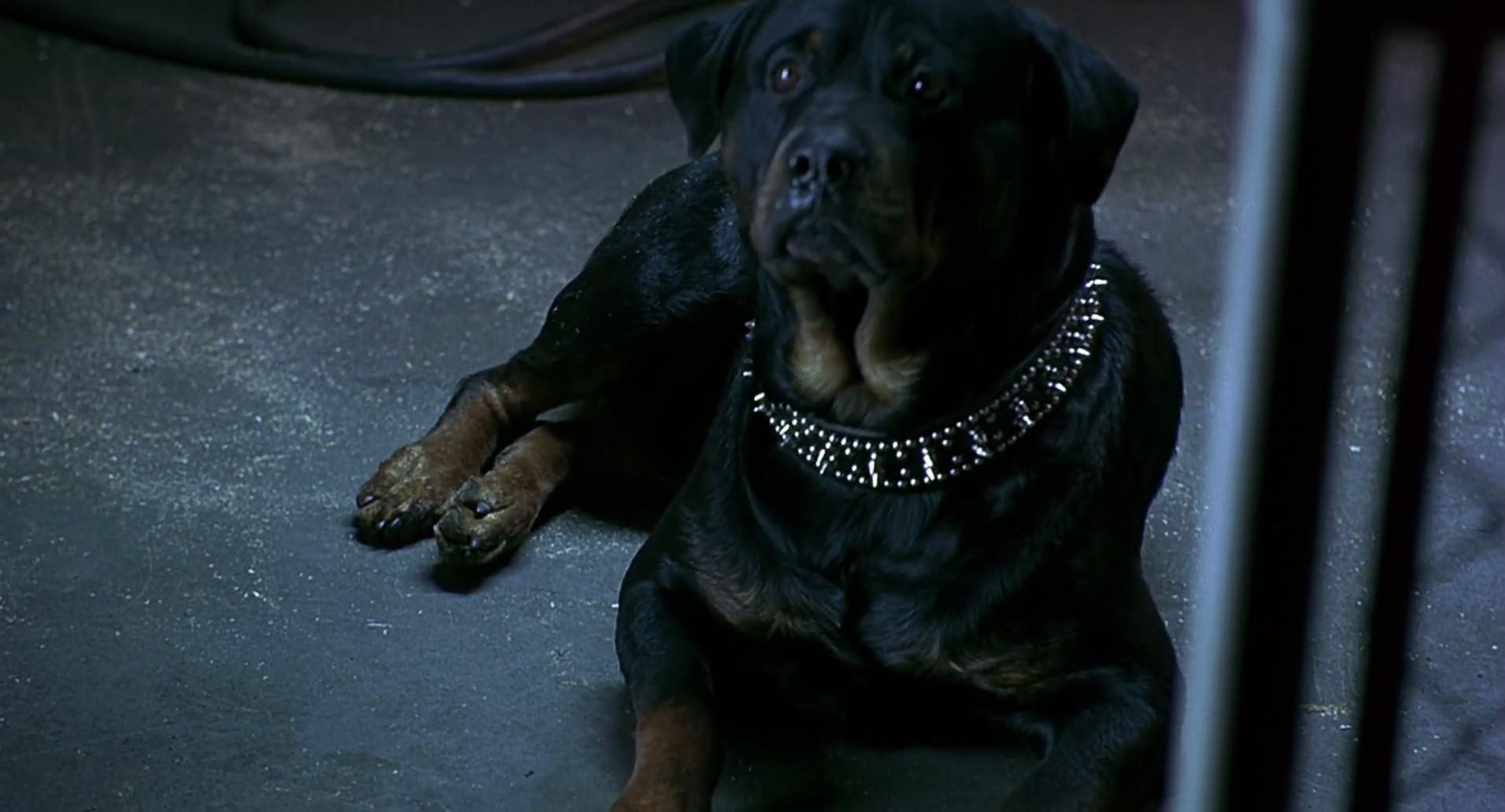Barb Wire (1996) HD screenshot 8534