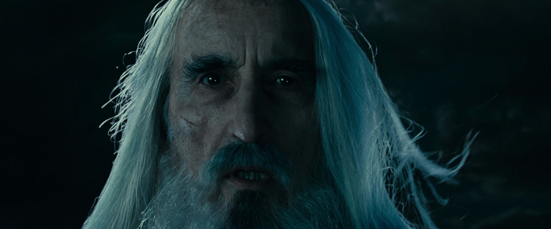 The Lord of the Rings: The Fellowship of the Ring (2001) screencap 10065