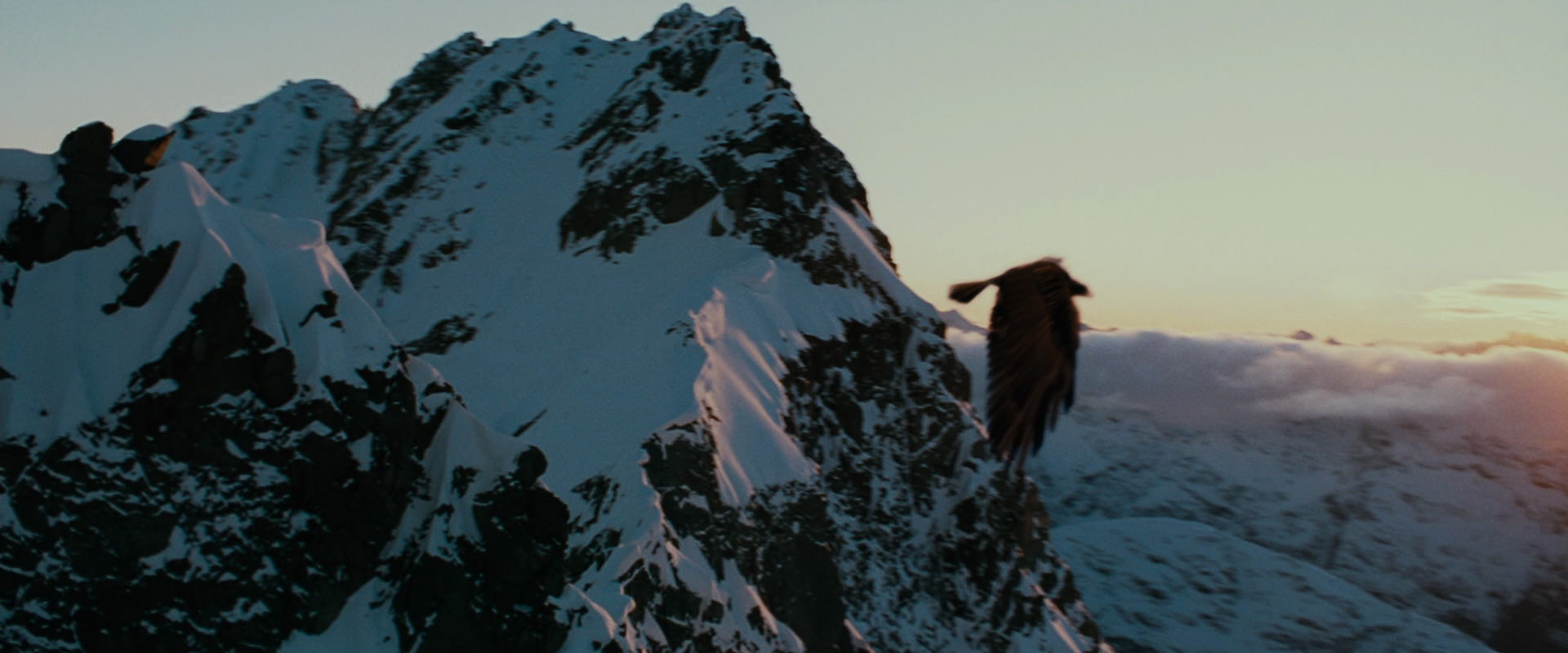 The Lord of the Rings: The Fellowship of the Ring (2001) screencap 10074