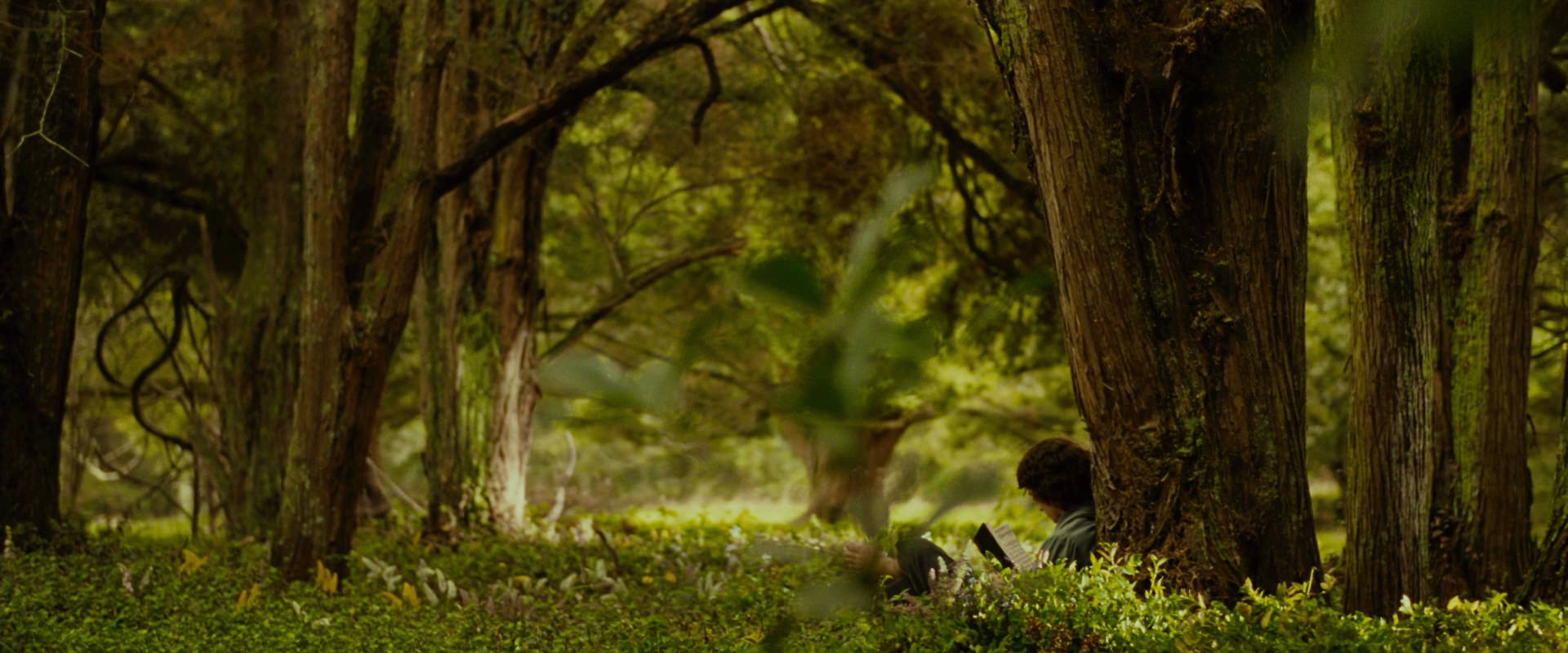 The Lord of the Rings: The Fellowship of the Ring (2001) screencap 1008
