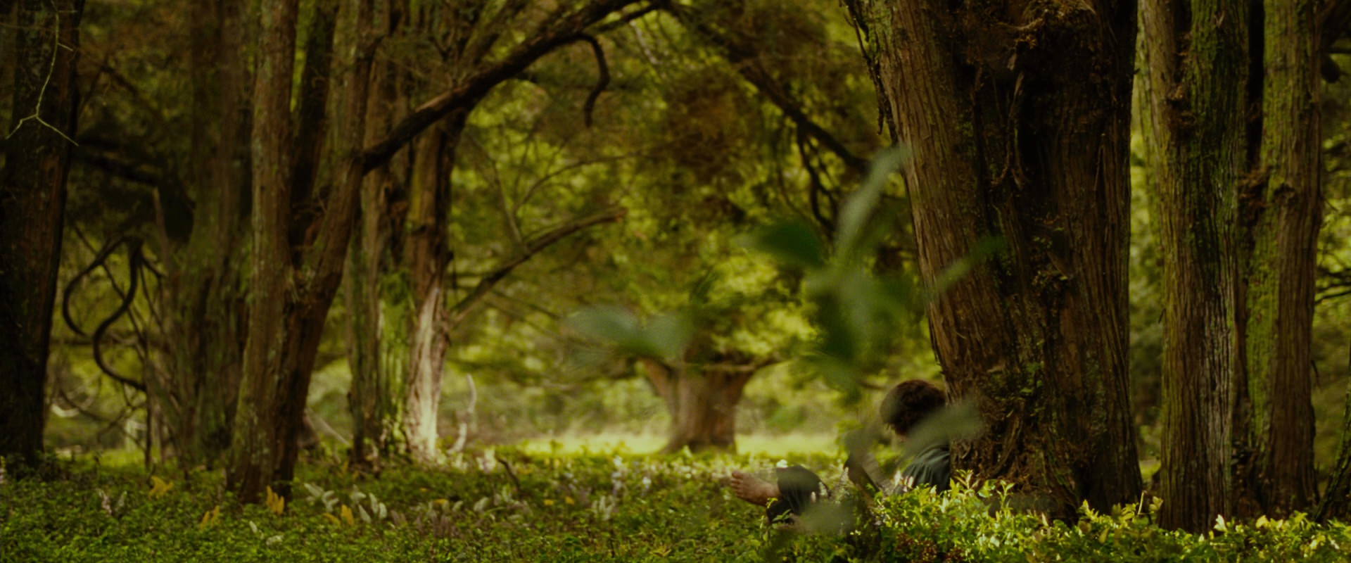 The Lord of the Rings: The Fellowship of the Ring (2001) movie still 1009