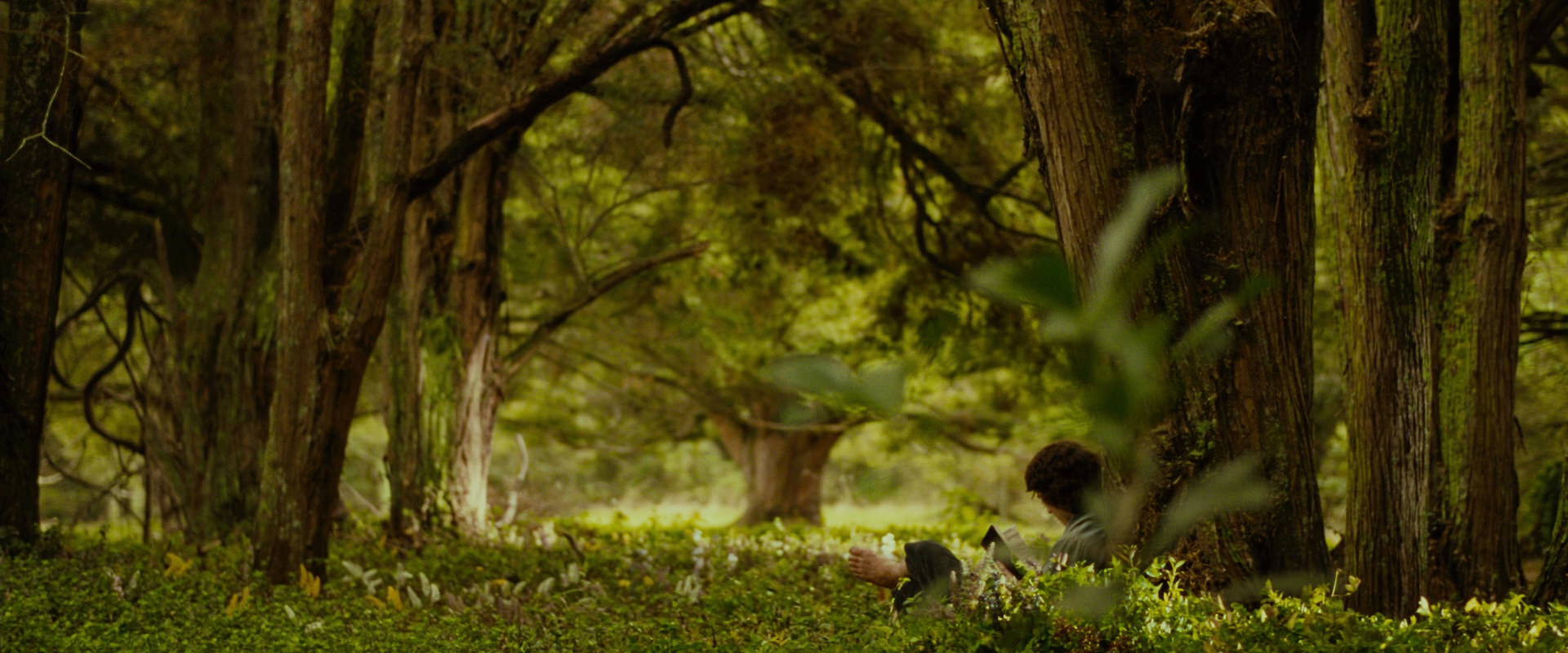 The Lord of the Rings: The Fellowship of the Ring (2001) HD screenshot 1010