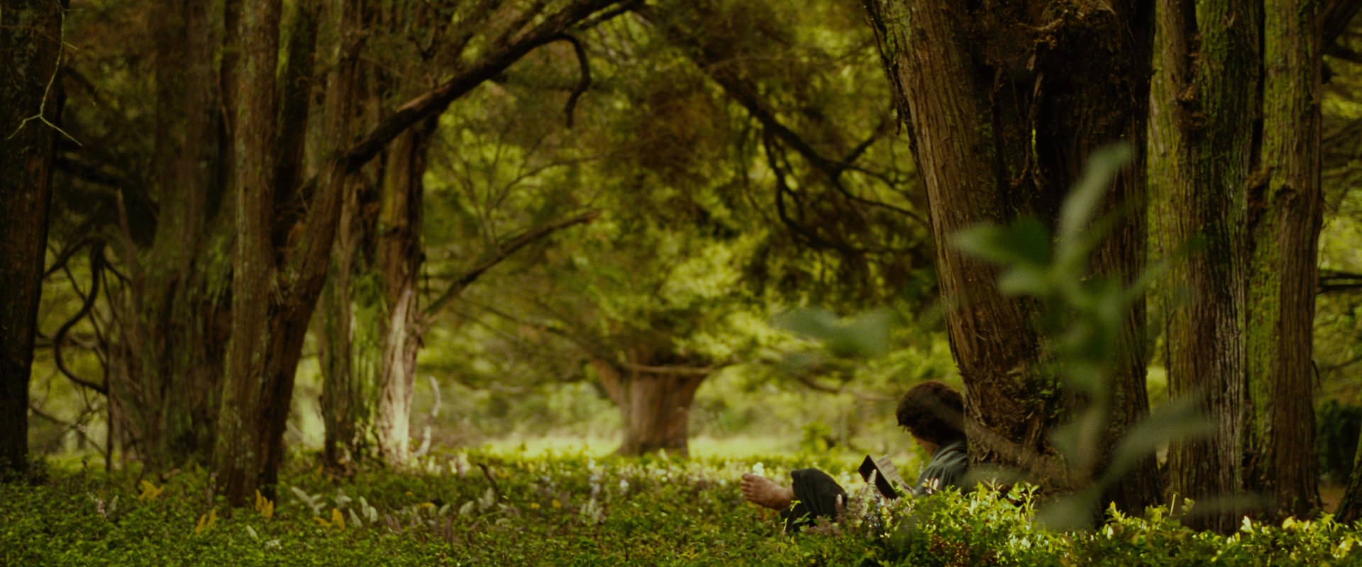 The Lord of the Rings: The Fellowship of the Ring (2001) screencap 1011