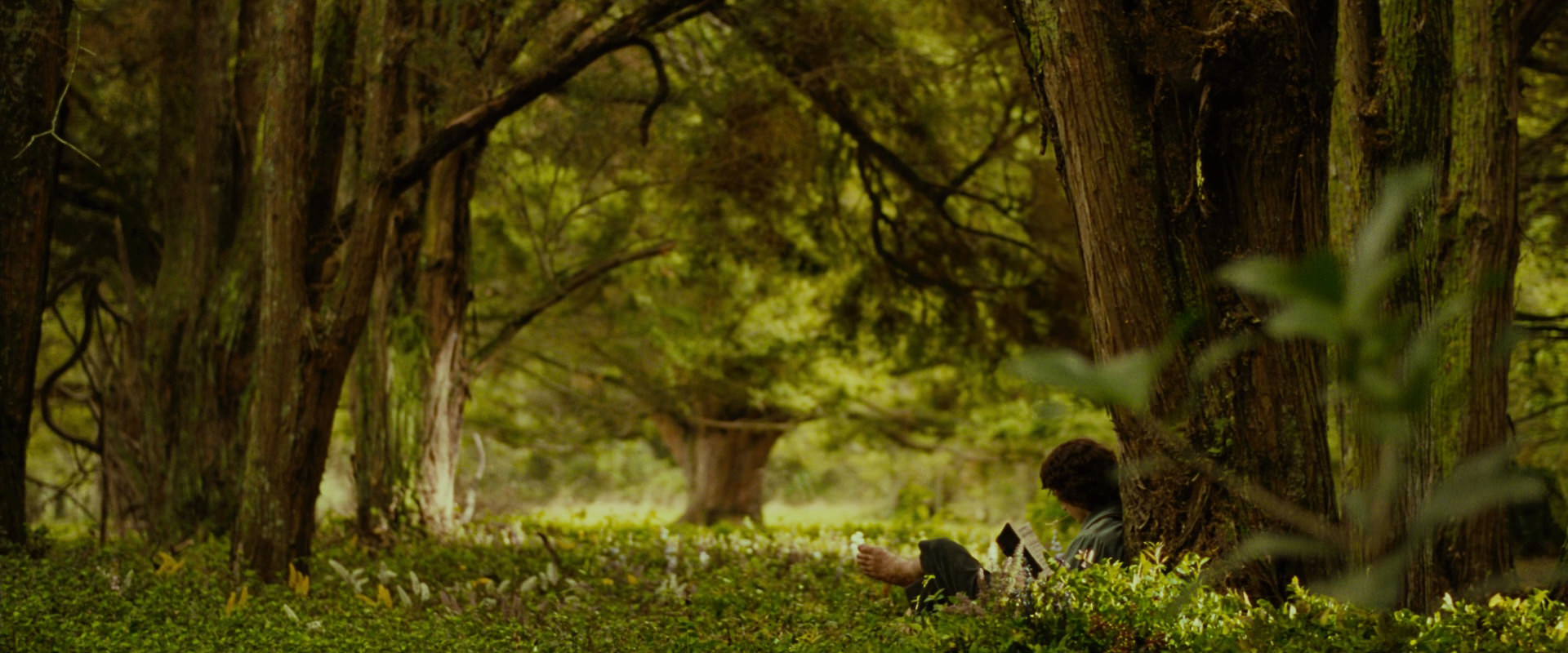 The Lord of the Rings: The Fellowship of the Ring (2001) movie still 1012