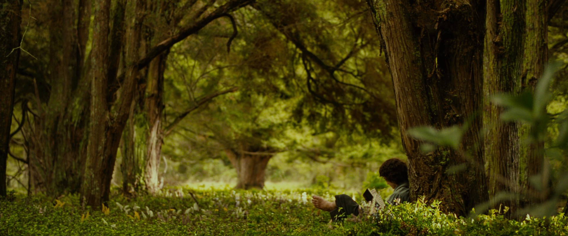 The Lord of the Rings: The Fellowship of the Ring (2001) HD screenshot 1013