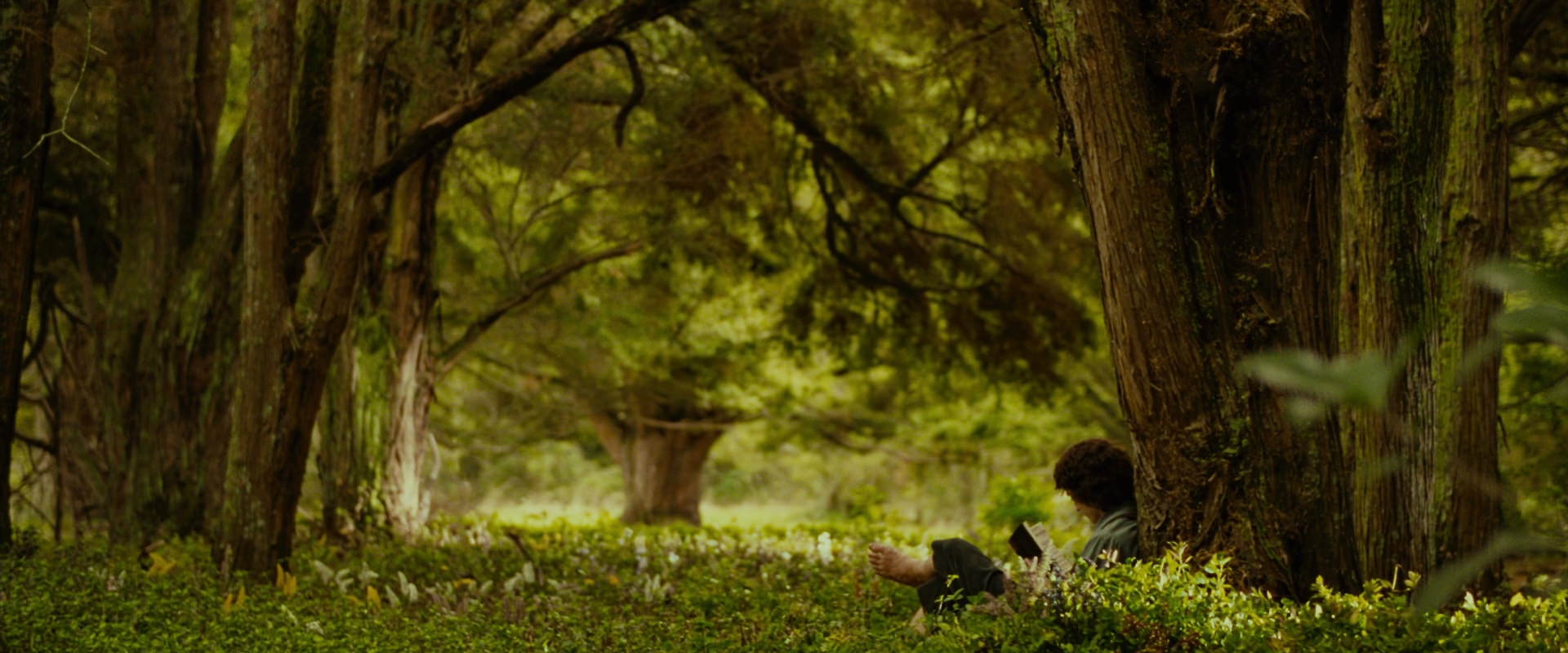 The Lord of the Rings: The Fellowship of the Ring (2001) screencap 1014