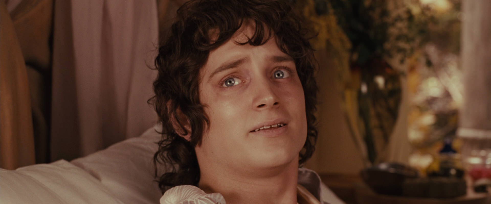 The Lord of the Rings: The Fellowship of the Ring (2001) screencap 10146