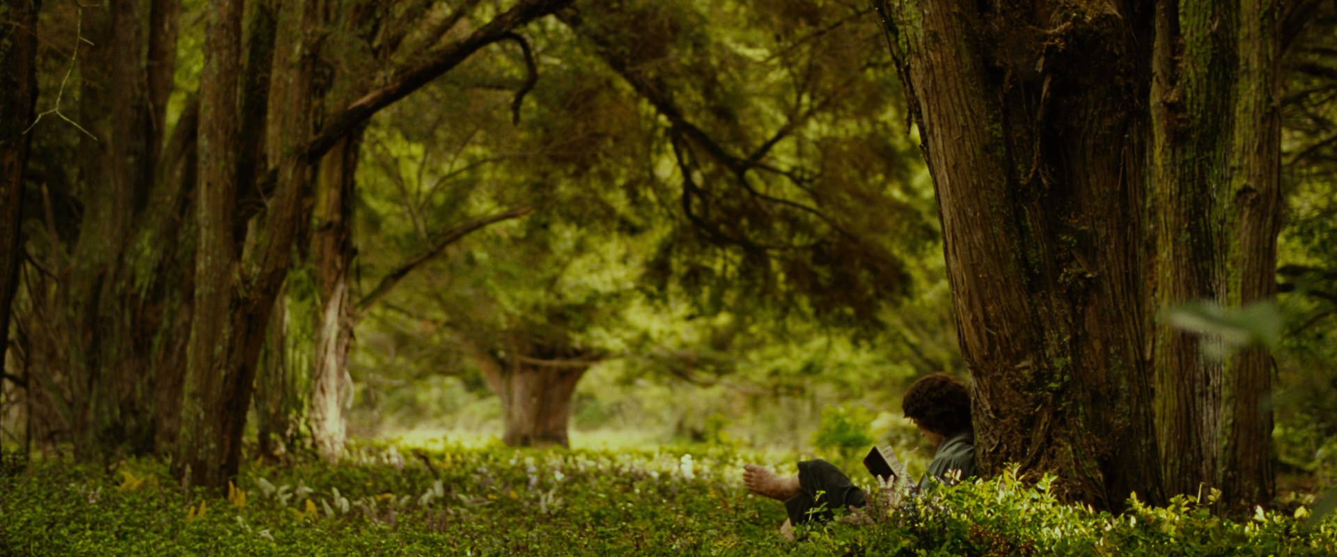 The Lord of the Rings: The Fellowship of the Ring (2001) movie still 1015