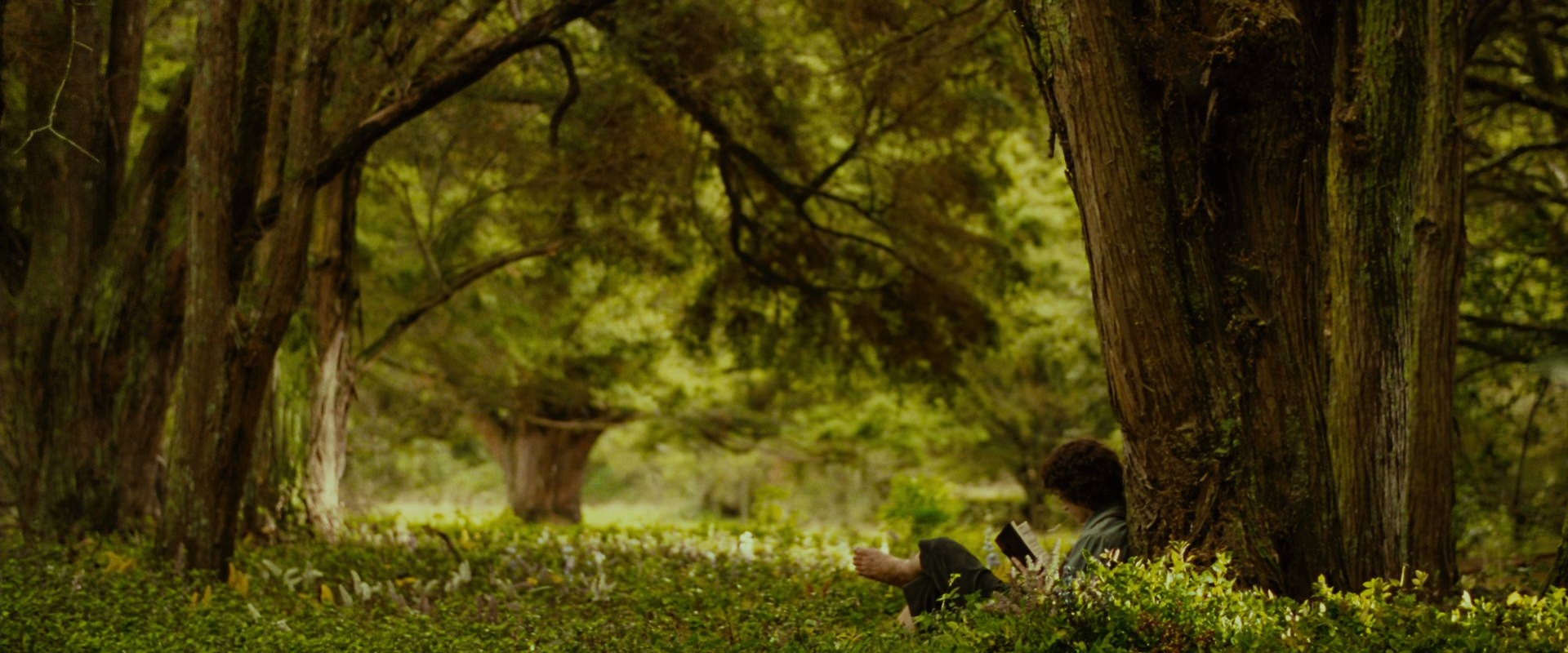 The Lord of the Rings: The Fellowship of the Ring (2001) screencap 1017