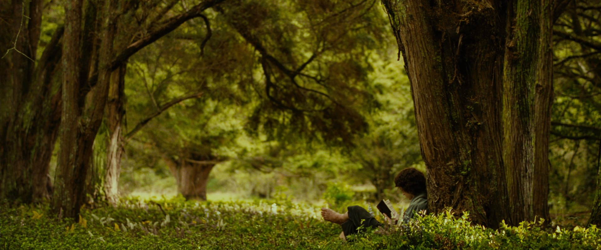 The Lord of the Rings: The Fellowship of the Ring (2001) movie still 1018