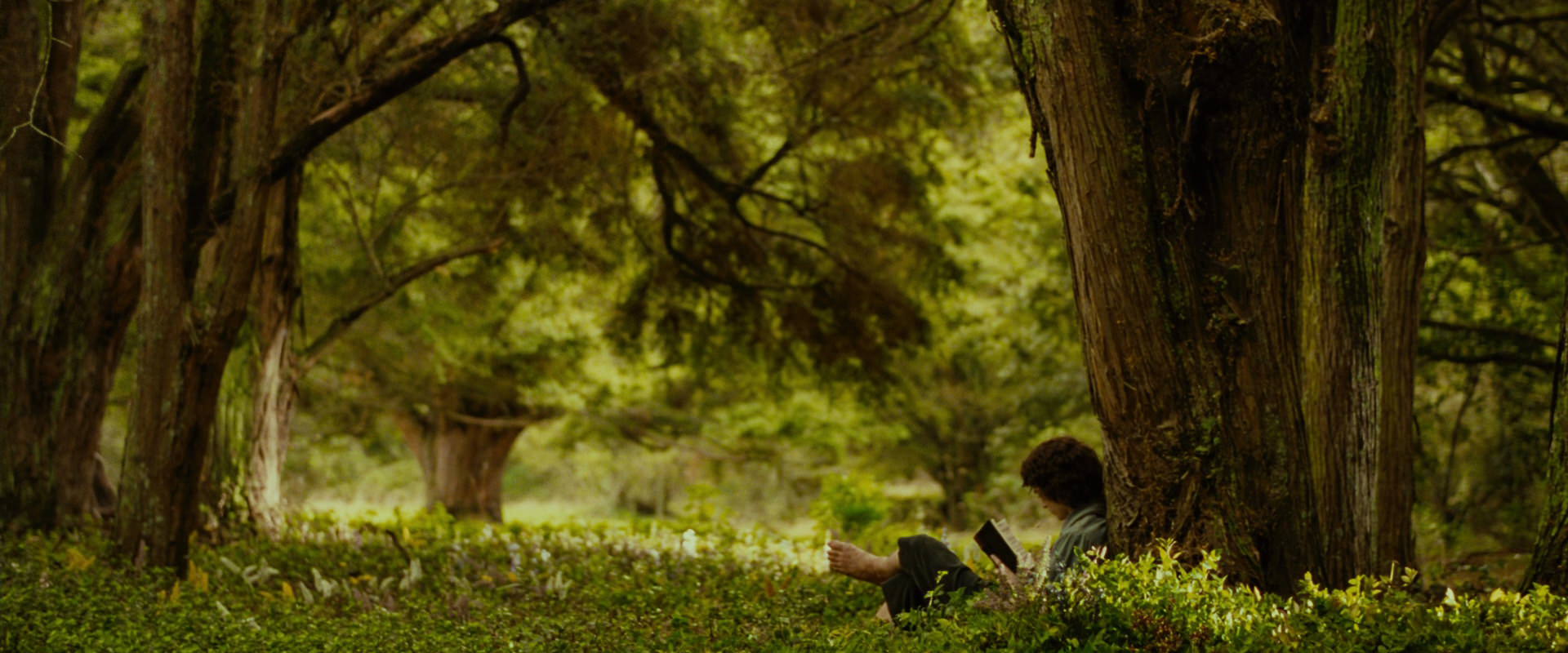 The Lord of the Rings: The Fellowship of the Ring (2001) HD screenshot 1019