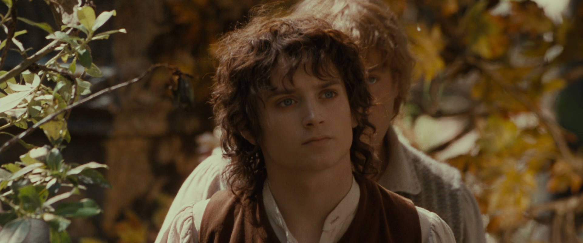 The Lord of the Rings: The Fellowship of the Ring (2001) HD screenshot 10196