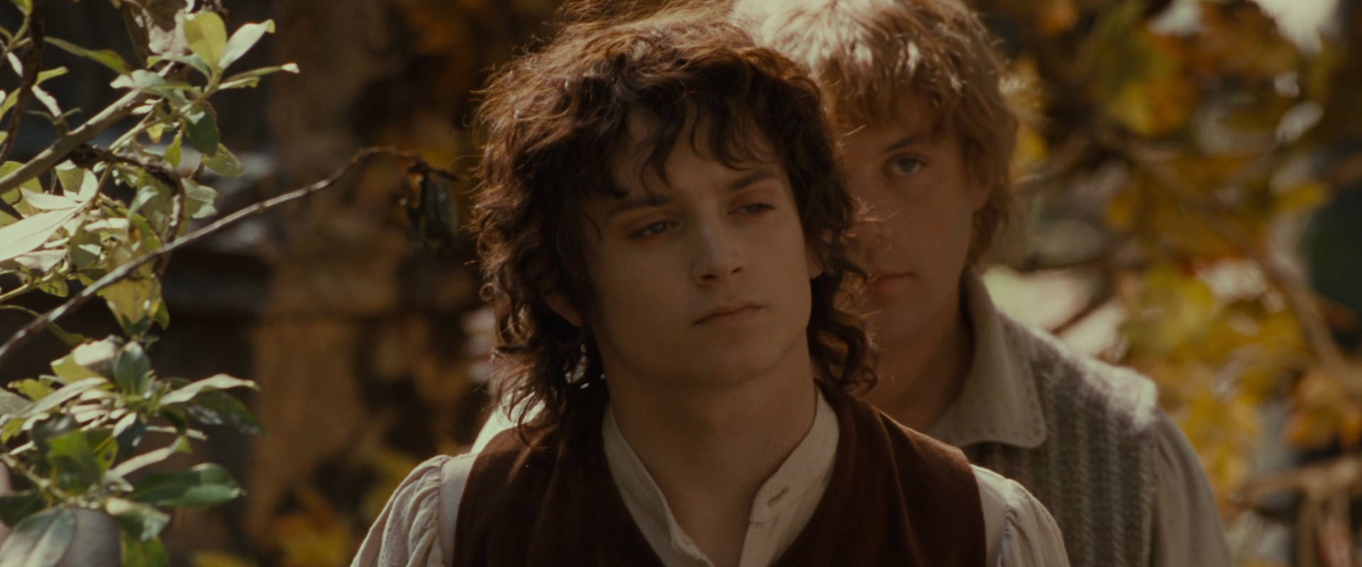 The Lord of the Rings: The Fellowship of the Ring (2001) screencap 10197