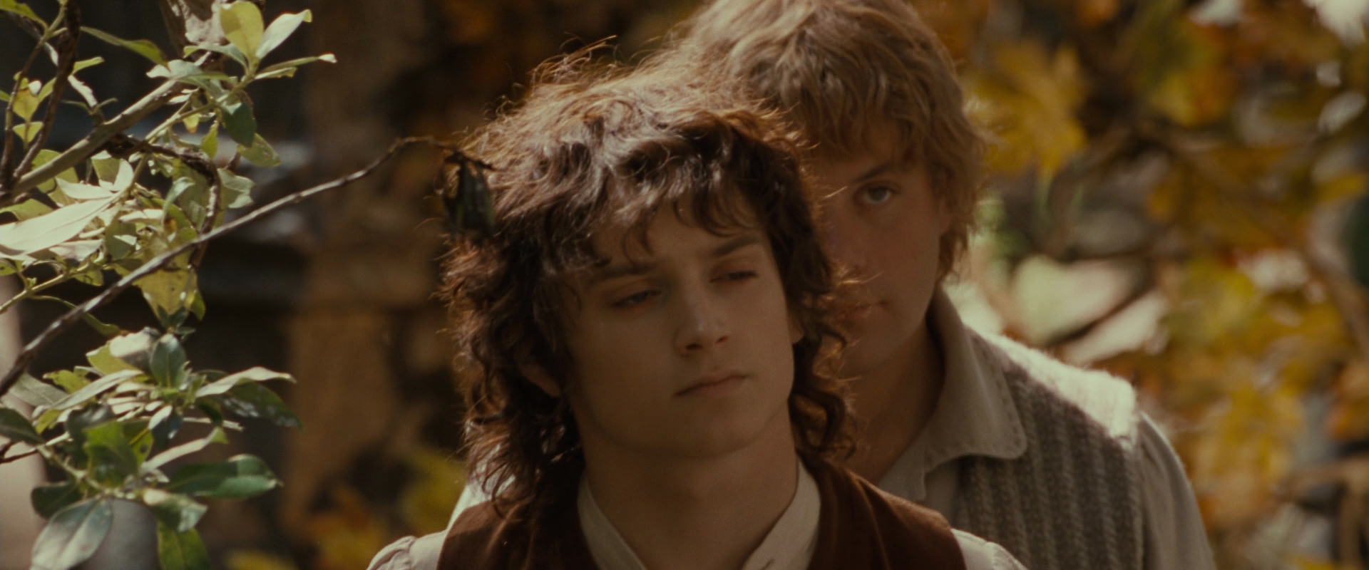 The Lord of the Rings: The Fellowship of the Ring (2001) movie still 10198