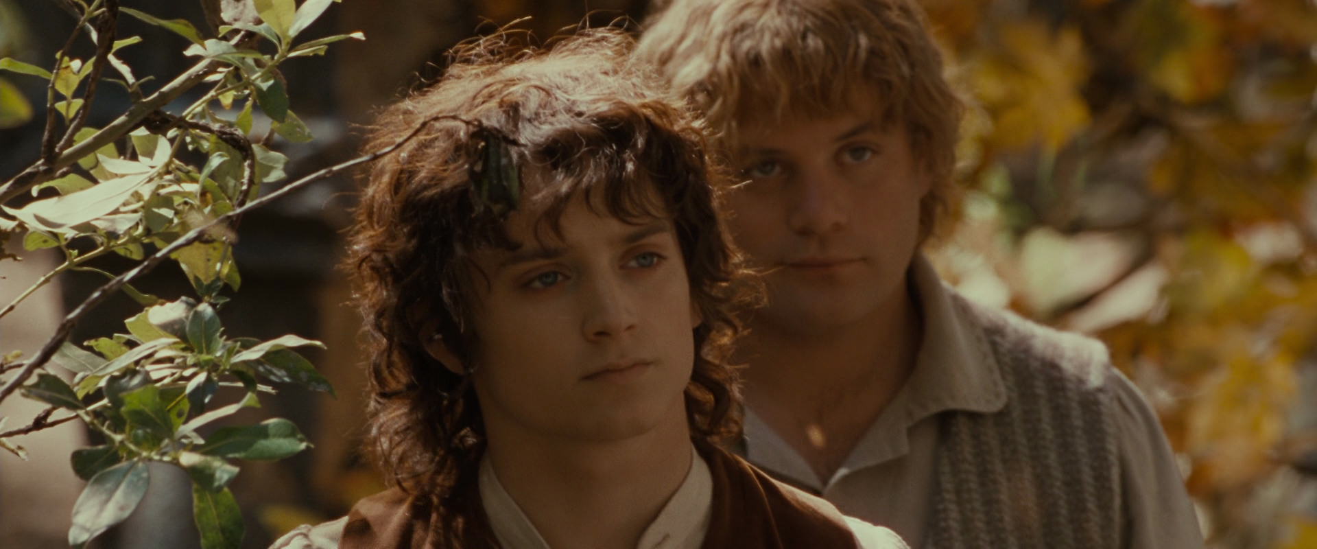 The Lord of the Rings: The Fellowship of the Ring (2001) HD screenshot 10199