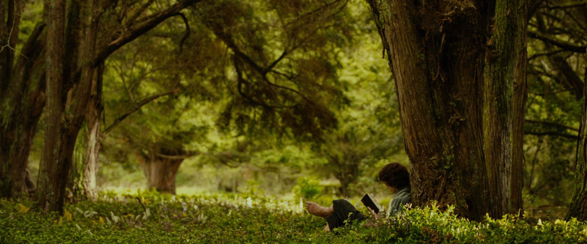 The Lord of the Rings: The Fellowship of the Ring (2001) screencap 1020