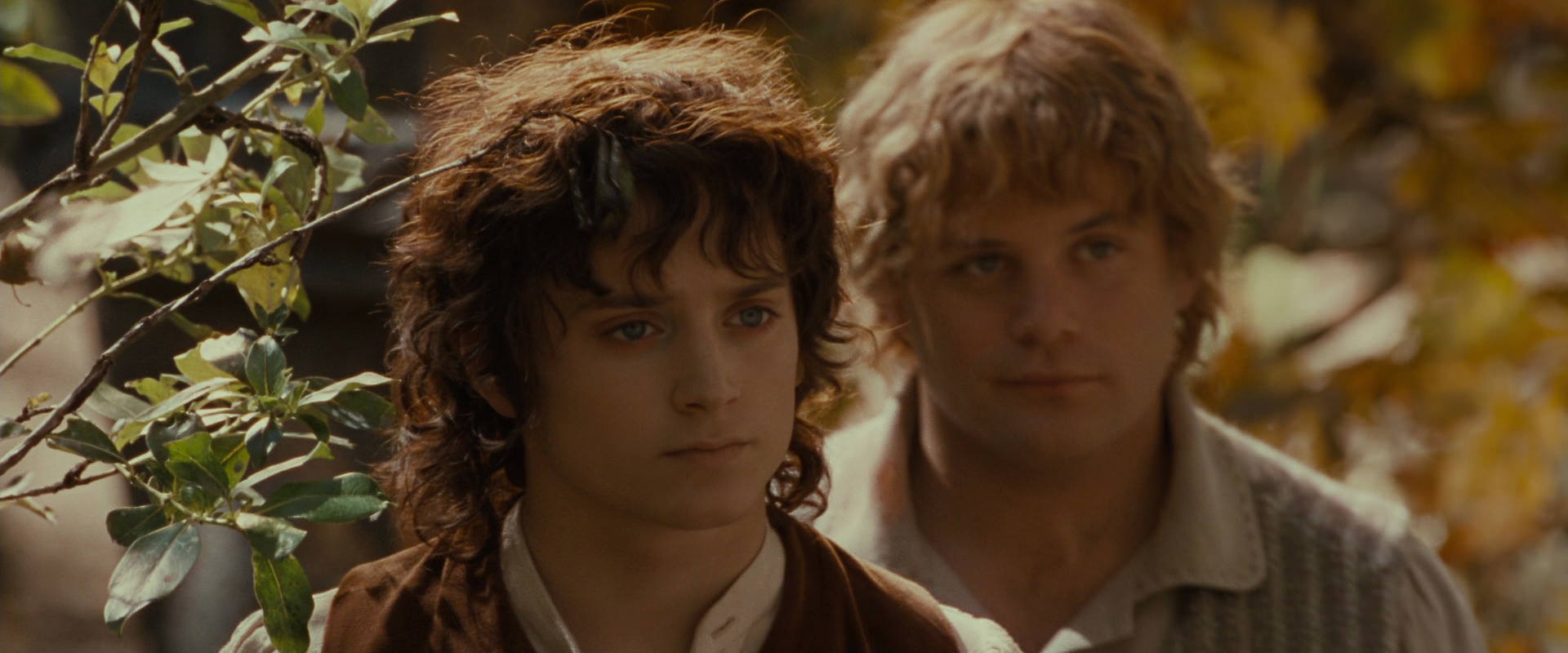 The Lord of the Rings: The Fellowship of the Ring (2001) screencap 10200