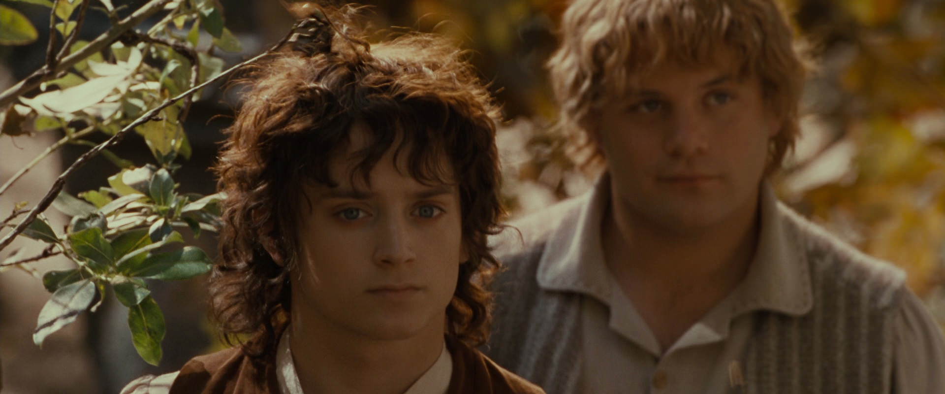 The Lord of the Rings: The Fellowship of the Ring (2001) movie still 10201