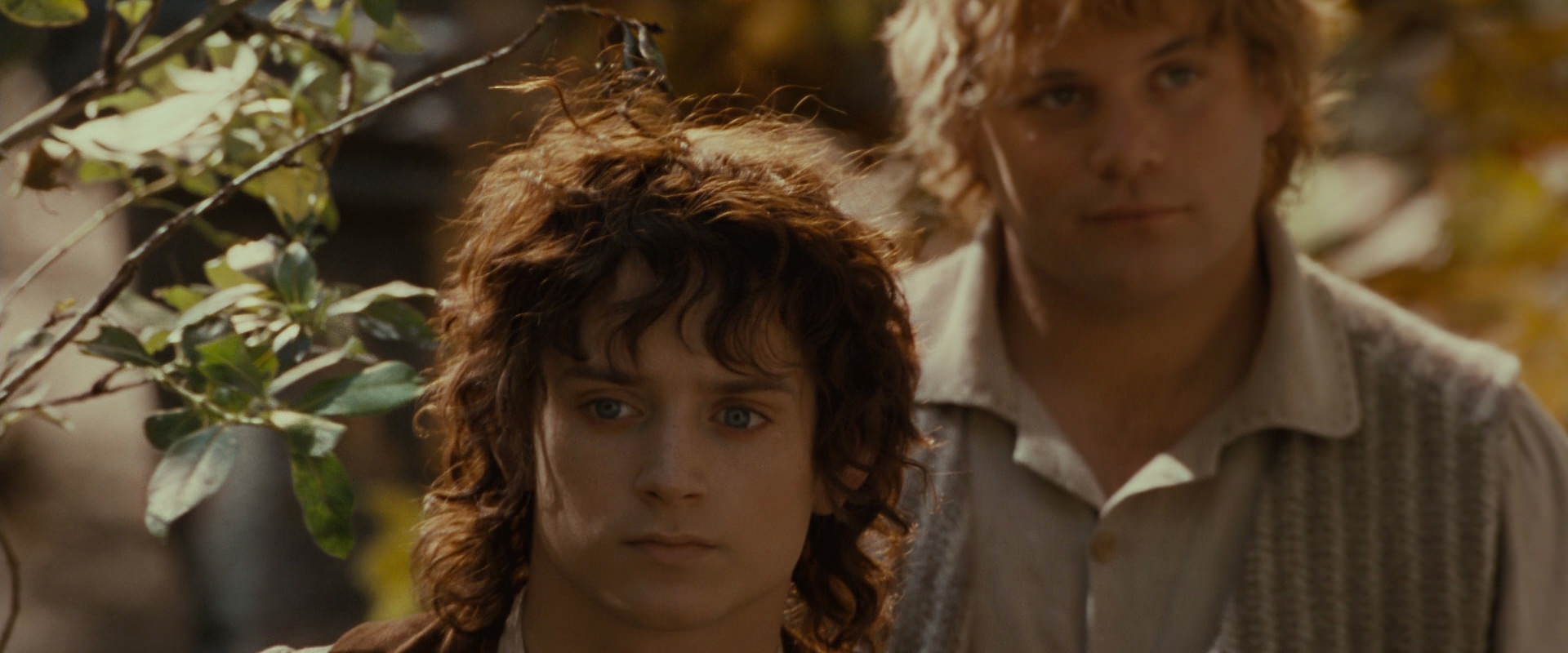 The Lord of the Rings: The Fellowship of the Ring (2001) HD screenshot 10202