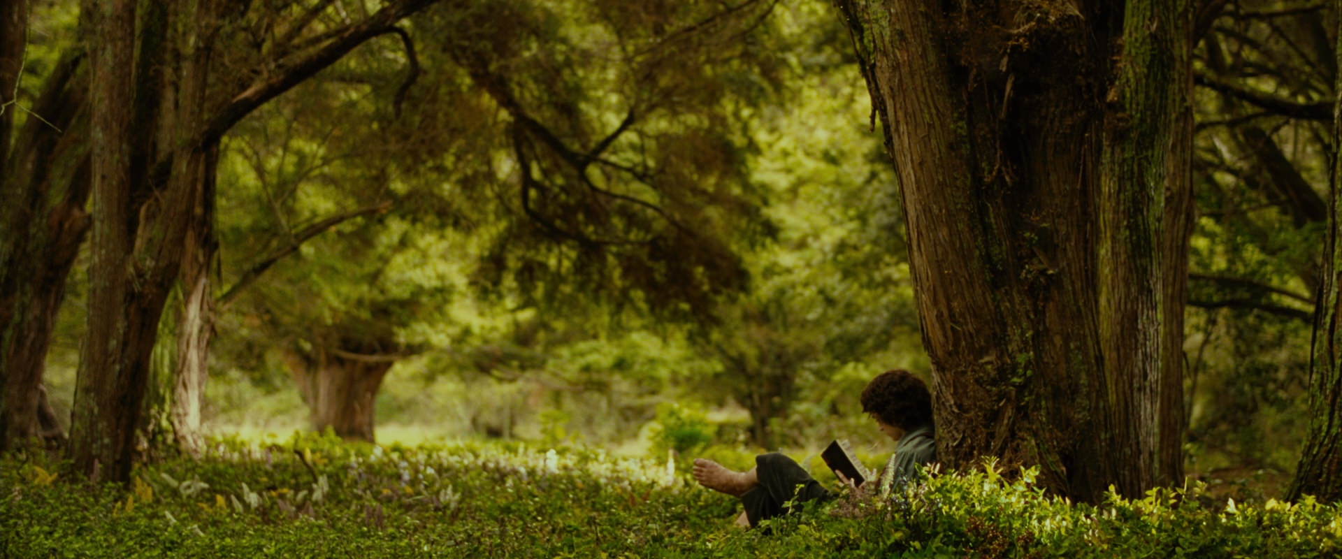 The Lord of the Rings: The Fellowship of the Ring (2001) HD screenshot 1022