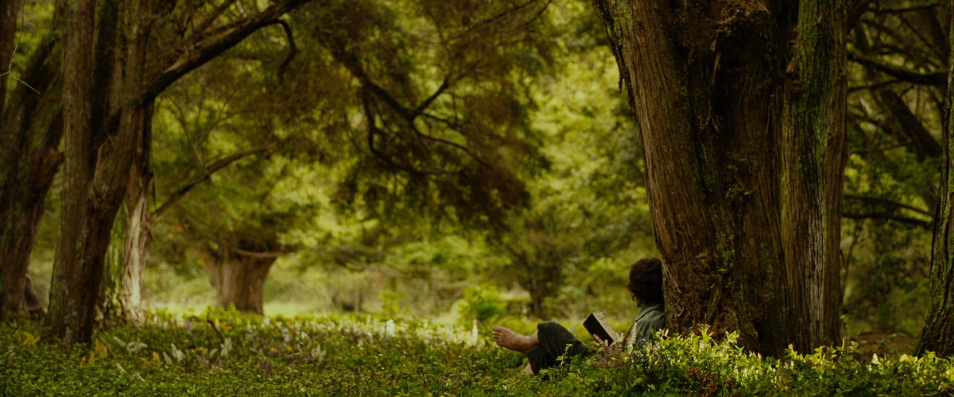 The Lord of the Rings: The Fellowship of the Ring (2001) screencap 1029