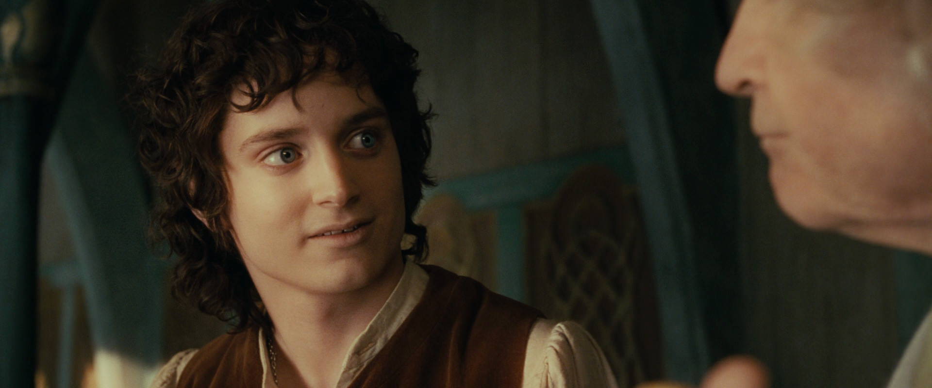 The Lord of the Rings: The Fellowship of the Ring (2001) screencap 10362