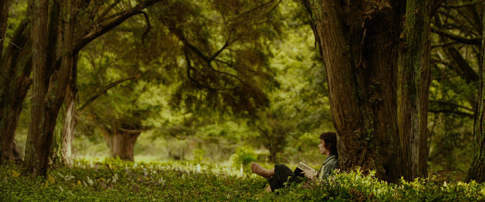 The Lord of the Rings: The Fellowship of the Ring (2001) HD screenshot 1037