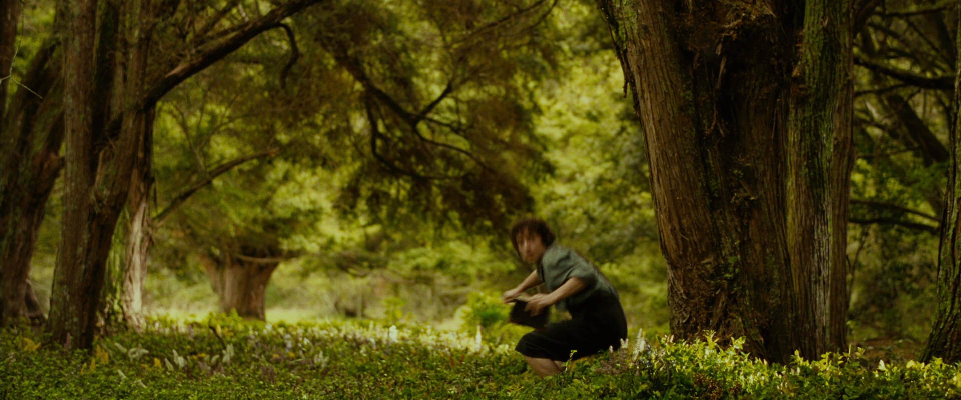 The Lord of the Rings: The Fellowship of the Ring (2001) HD screenshot 1040