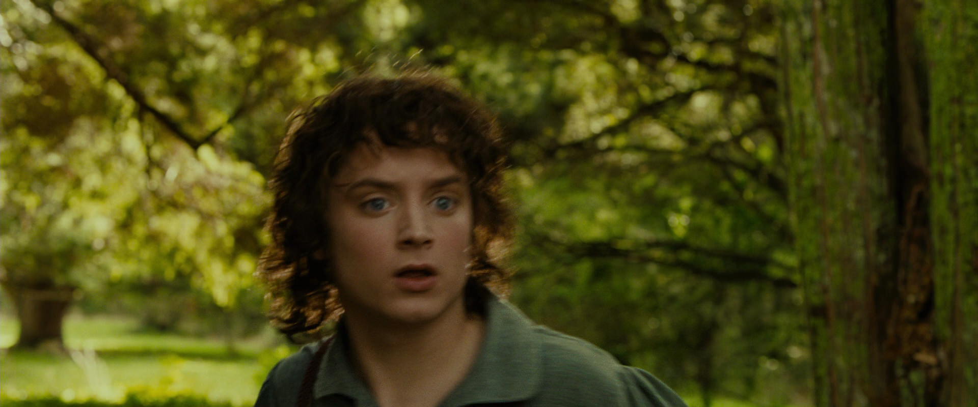 The Lord of the Rings: The Fellowship of the Ring (2001) screencap 1041