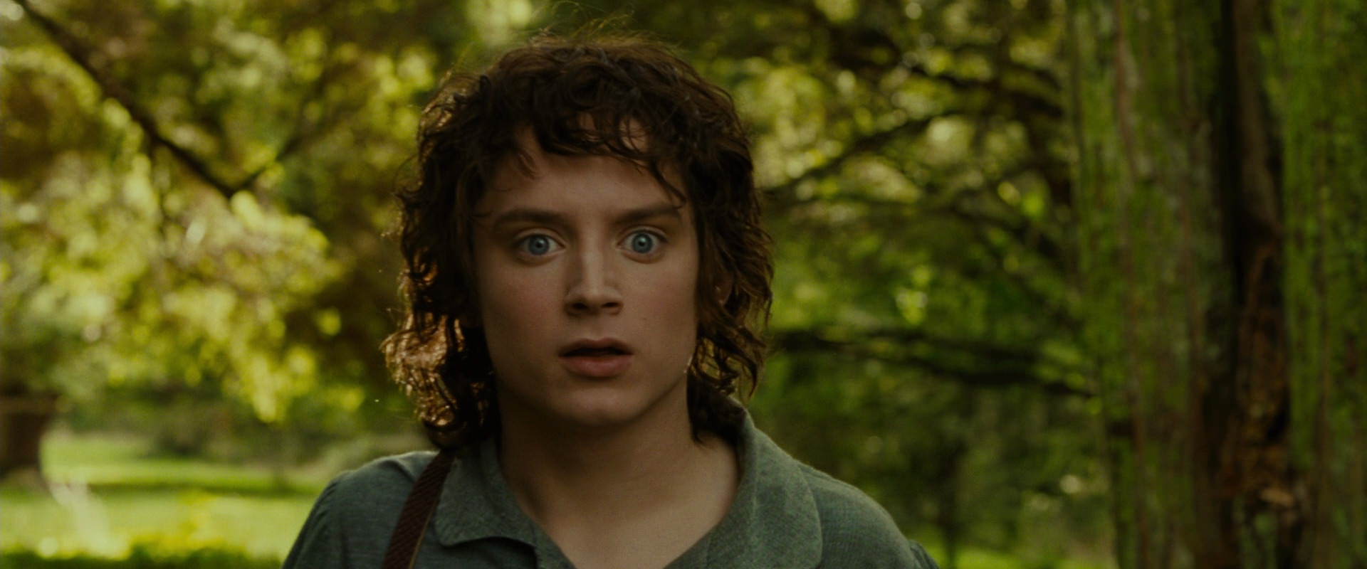 The Lord of the Rings: The Fellowship of the Ring (2001) movie still 1042