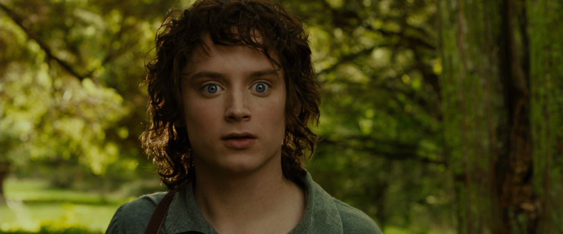 The Lord of the Rings: The Fellowship of the Ring (2001) HD screenshot 1043