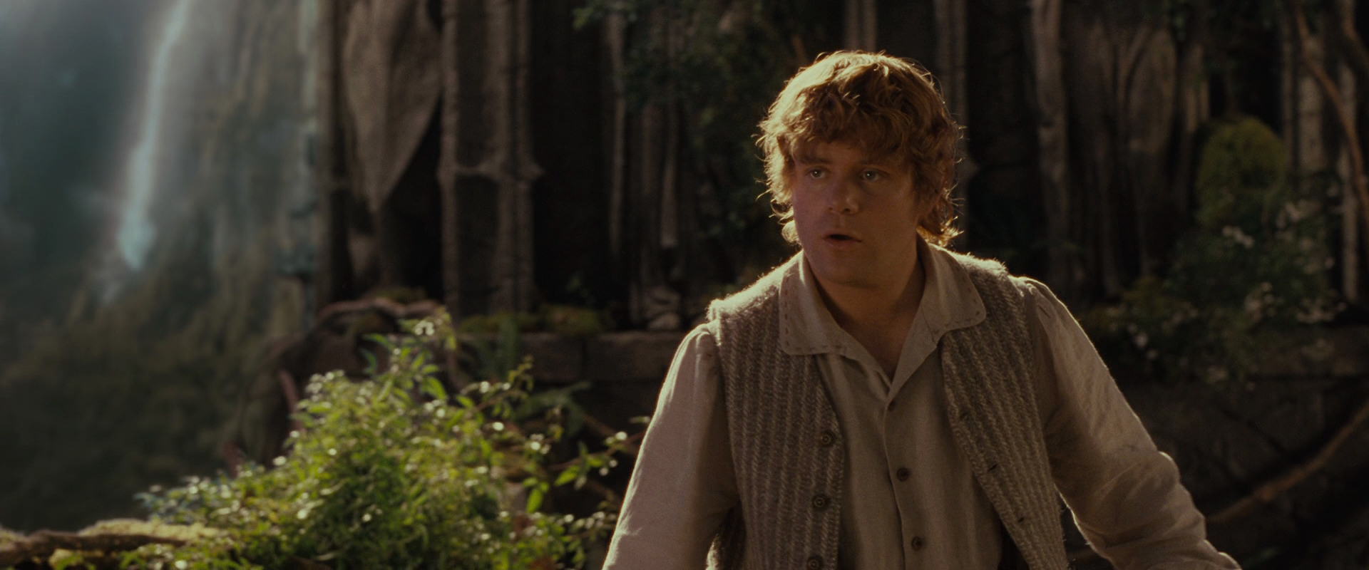 The Lord of the Rings: The Fellowship of the Ring (2001) movie still 10438