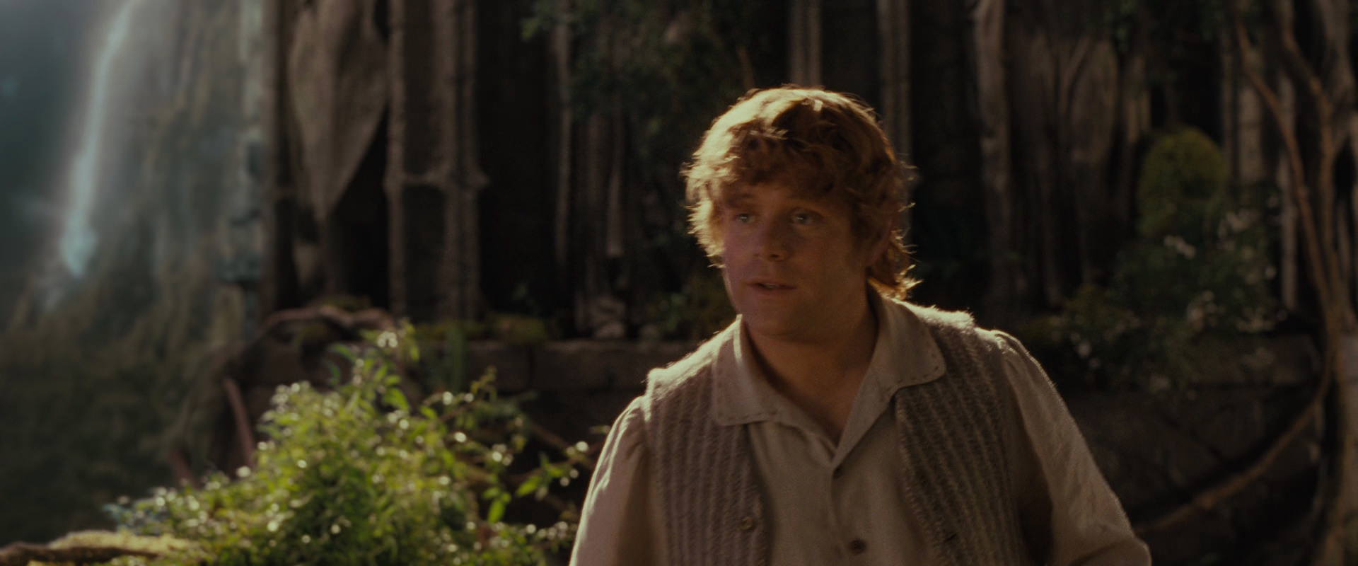 The Lord of the Rings: The Fellowship of the Ring (2001) HD screenshot 10439