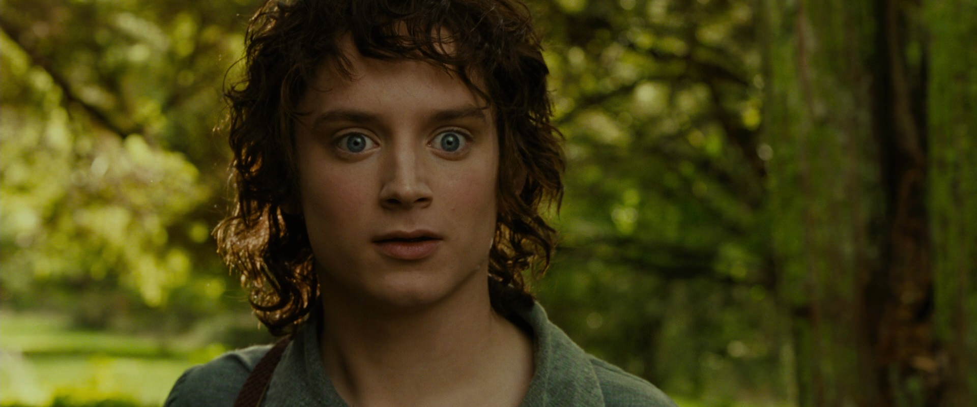 The Lord of the Rings: The Fellowship of the Ring (2001) screencap 1044