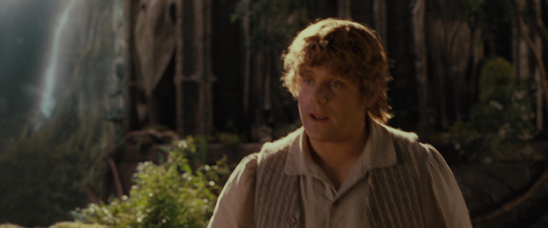 The Lord of the Rings: The Fellowship of the Ring (2001) screencap 10440