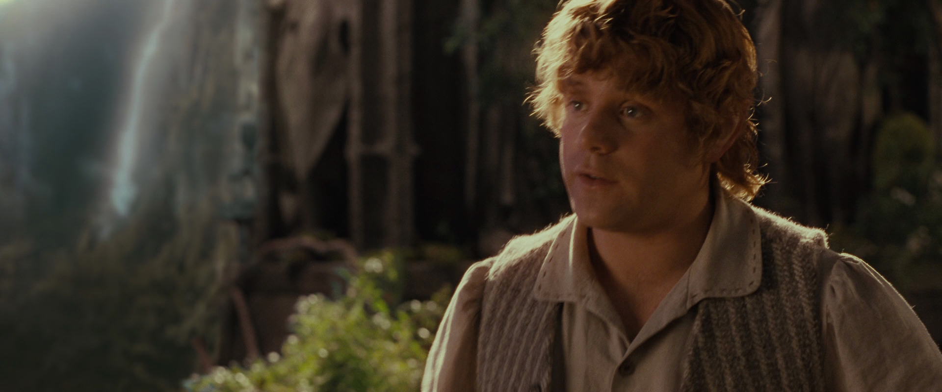 The Lord of the Rings: The Fellowship of the Ring (2001) movie still 10441