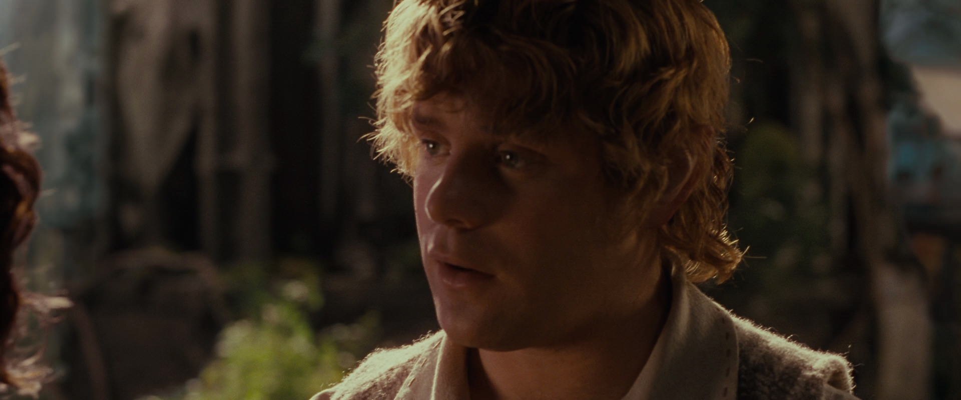 The Lord of the Rings: The Fellowship of the Ring (2001) HD screenshot 10448