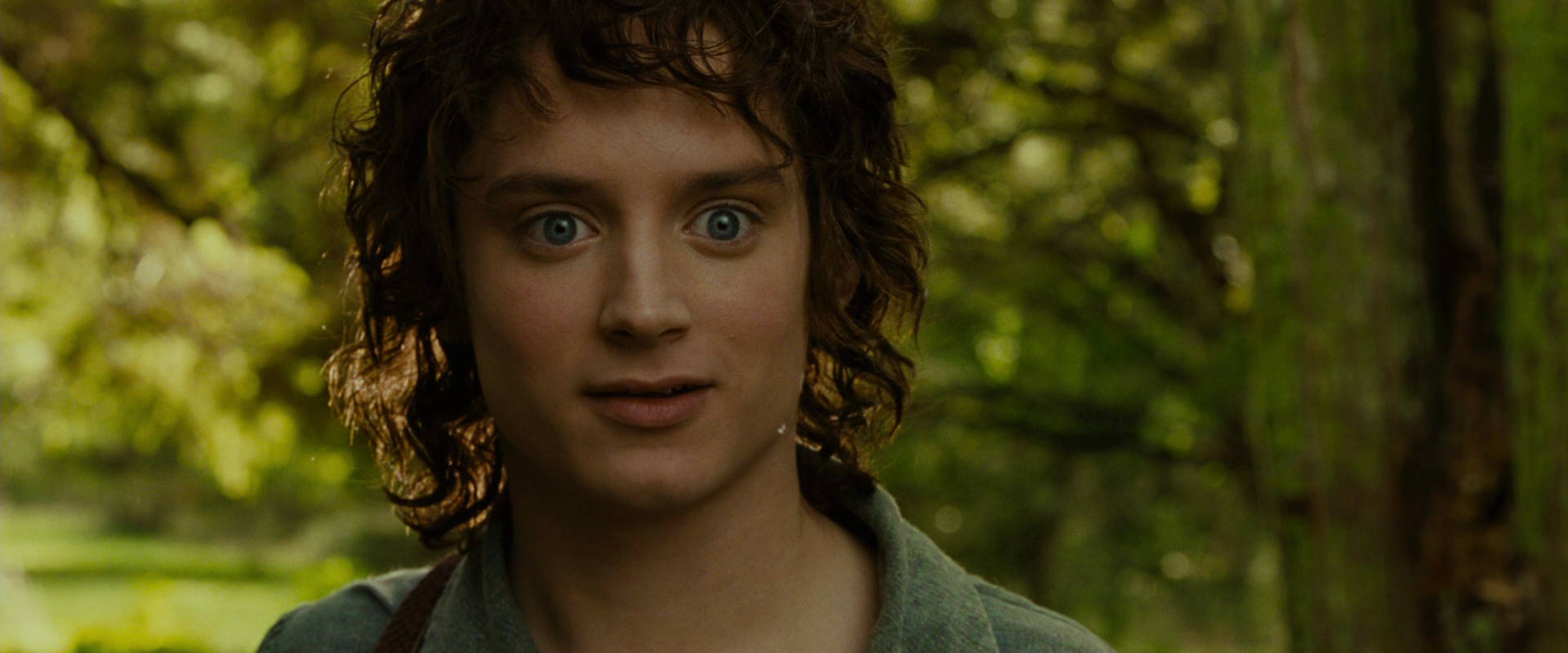 The Lord of the Rings: The Fellowship of the Ring (2001) movie still 1045