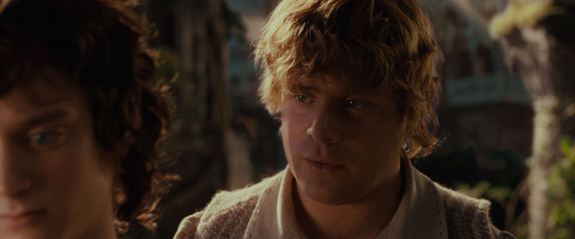 The Lord of the Rings: The Fellowship of the Ring (2001) screencap 10455