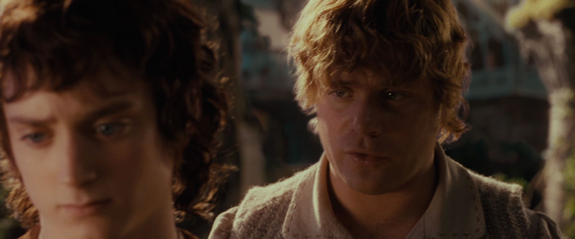 The Lord of the Rings: The Fellowship of the Ring (2001) movie still 10456