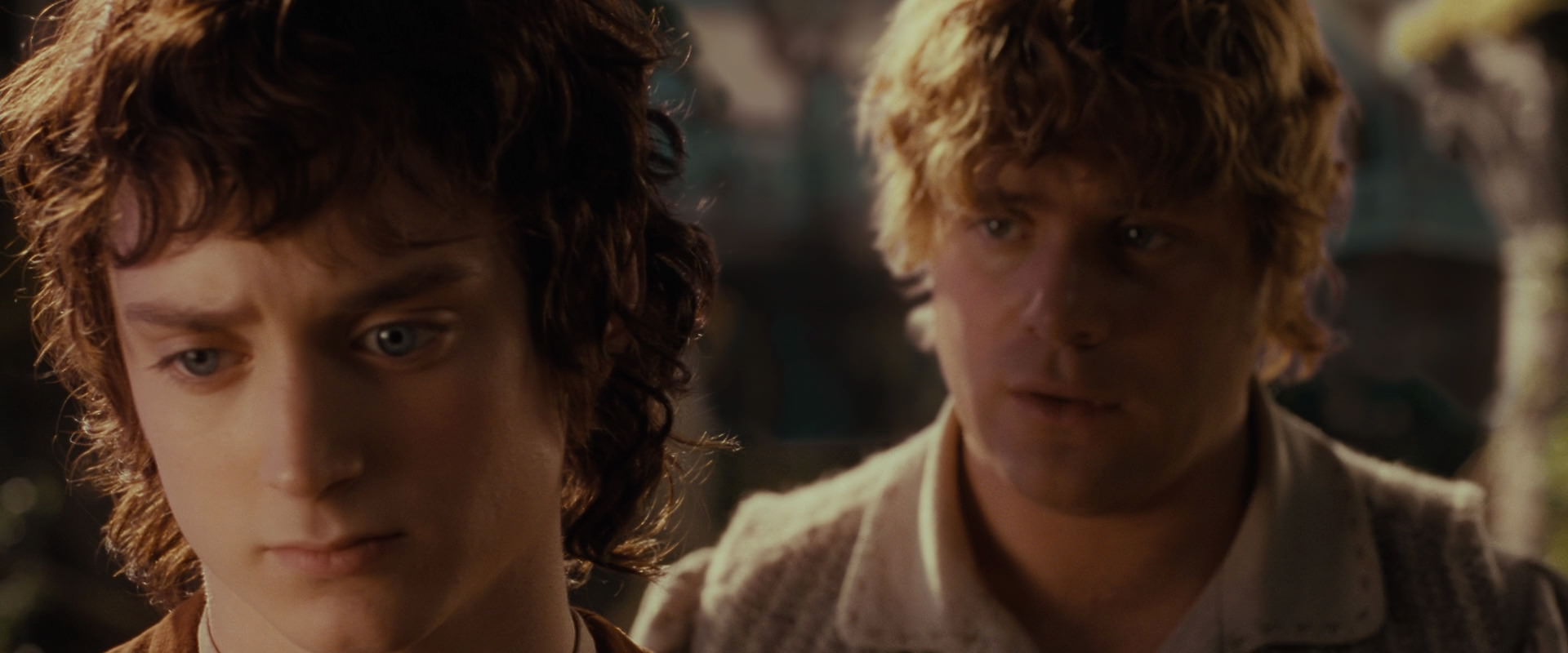 The Lord of the Rings: The Fellowship of the Ring (2001) HD screenshot 10457